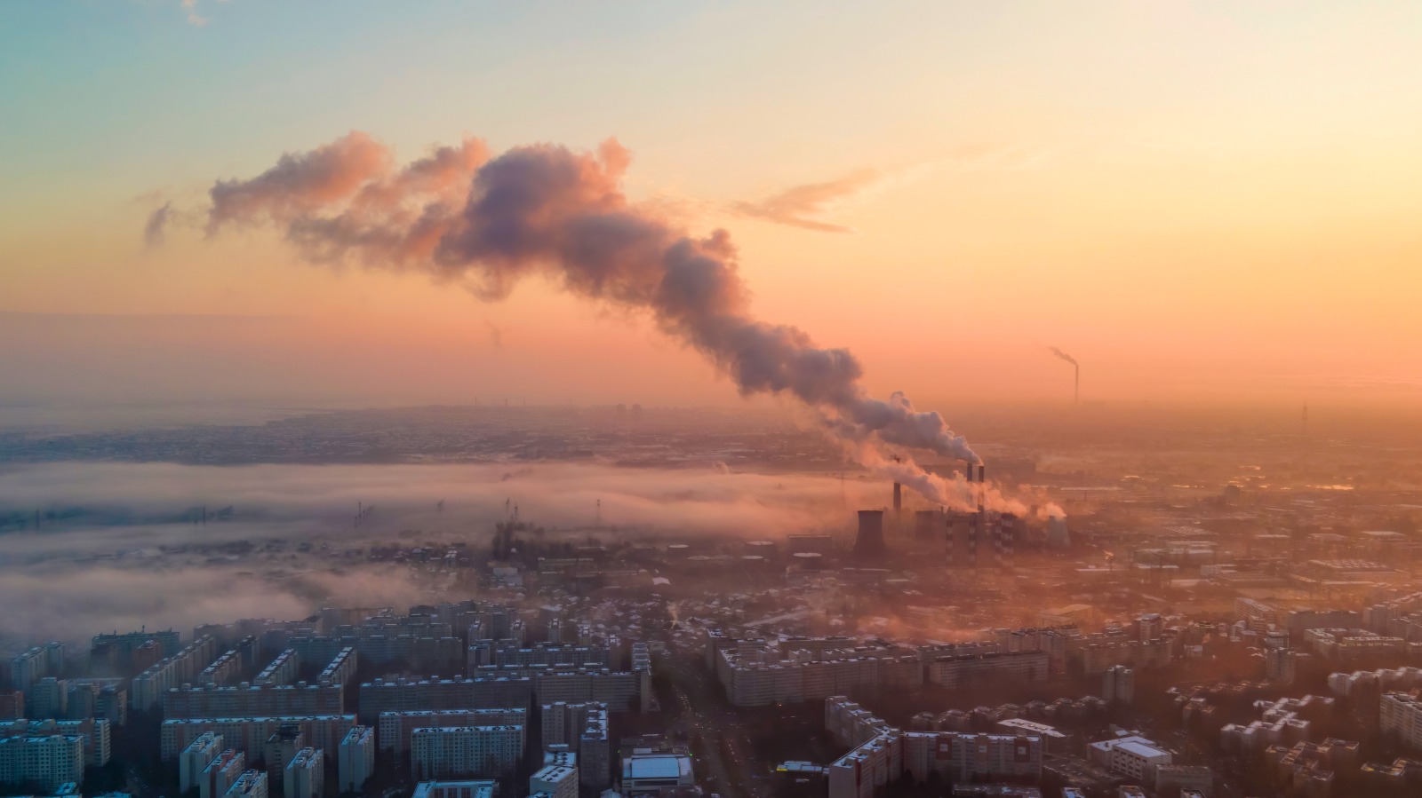 Expensive Environment The Environmental Cost of AI: What Businesses Need to Know—and What ...